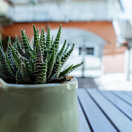 Apartment Klara's Maggiore E 24 Min Da Malpensa Airport Castelletto sopra Ticino