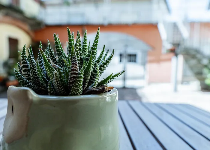 Daire Klara's Maggiore E 24 Min Da Malpensa Airport Castelletto sopra Ticino