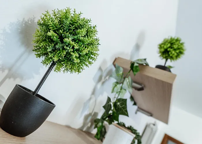 Daire Klara's Maggiore E 24 Min Da Malpensa Airport